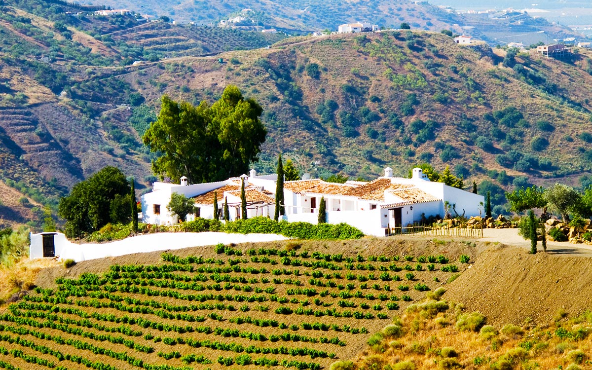 cortijo-el-carligto-lacure-villas